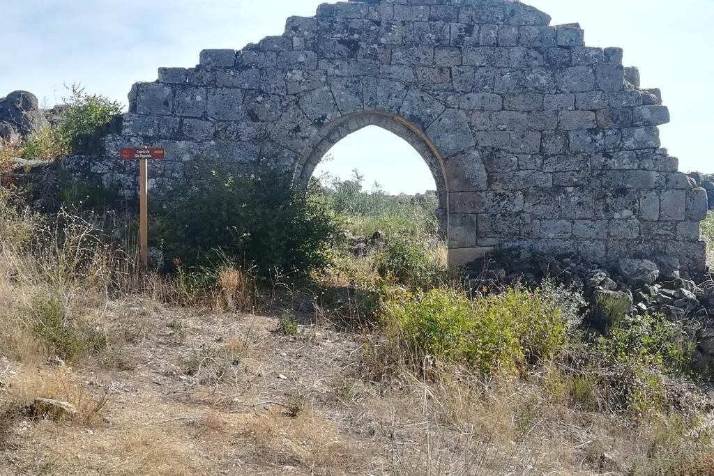 Refugio Do Douro Guest House ベンボスタ エクステリア 写真