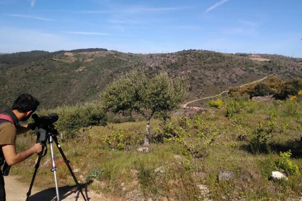 Refugio Do Douro Guest House ベンボスタ エクステリア 写真