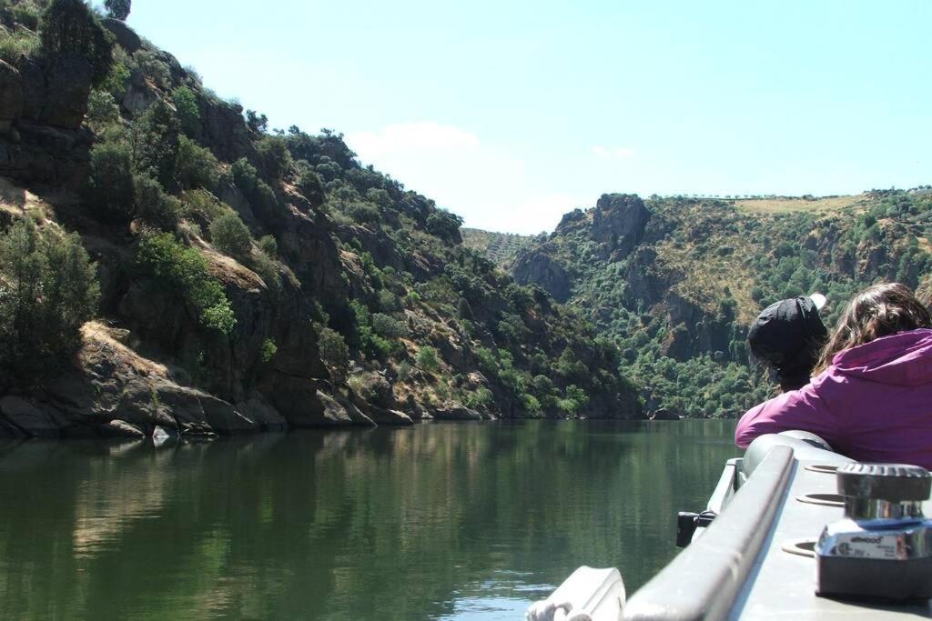 Refugio Do Douro Guest House ベンボスタ エクステリア 写真