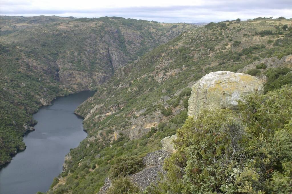 Refugio Do Douro Guest House ベンボスタ エクステリア 写真