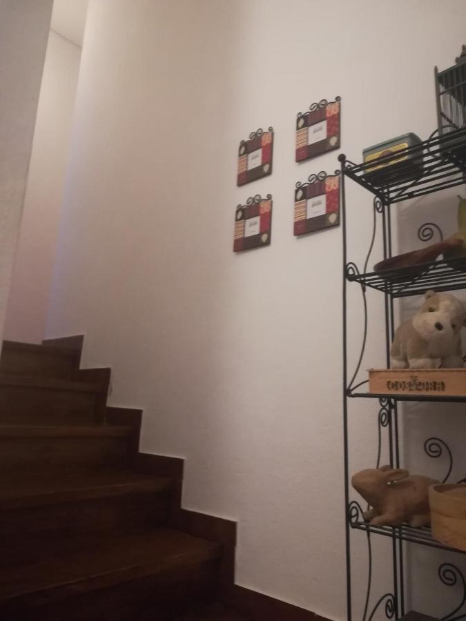 Refugio Do Douro Guest House ベンボスタ エクステリア 写真