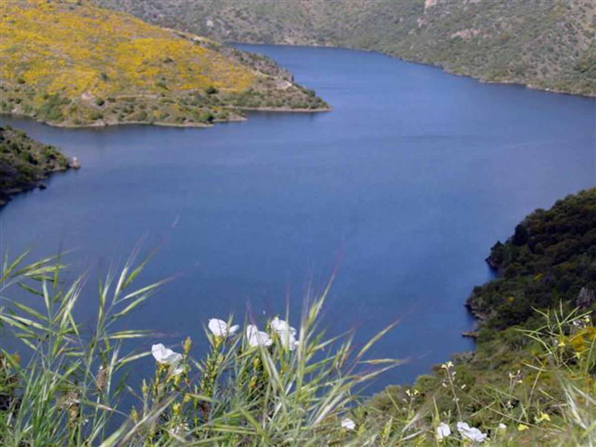 Refugio Do Douro Guest House ベンボスタ エクステリア 写真