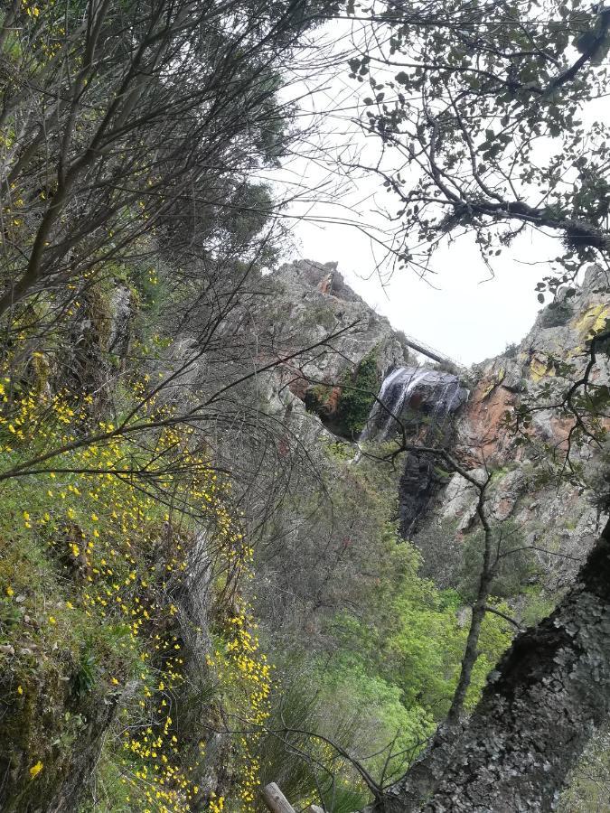 Refugio Do Douro Guest House ベンボスタ エクステリア 写真